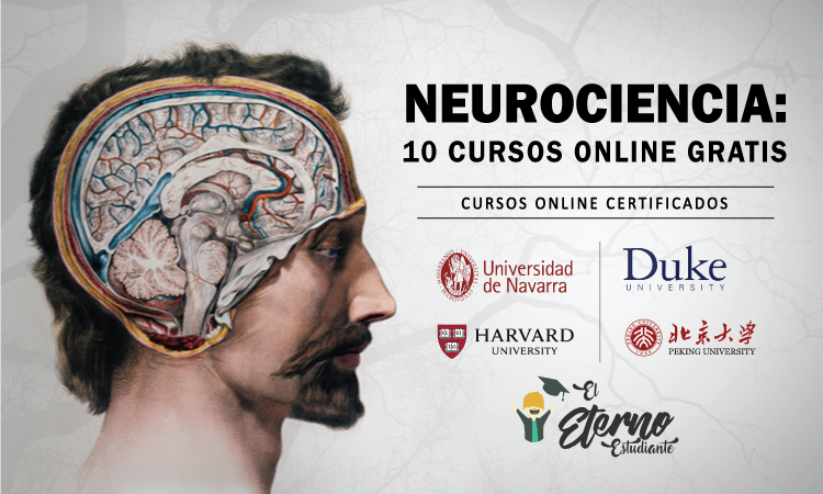 cursos online gratis de neurociencias
