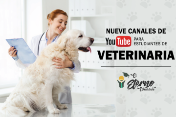 canales de youtube veterinaria