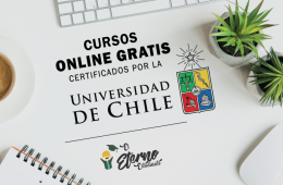 u de chile cursos online